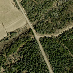 Satellite imagery of Wingle Hill, CA