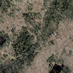 Satellite imagery of Line Hill, CA