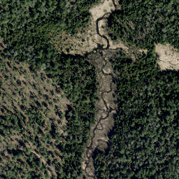 Satellite imagery of McGee's Mountain, CA