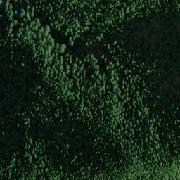 Satellite imagery of Salmon Mountain, US