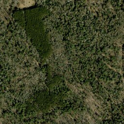 Satellite imagery of Mahon Mountain, CA