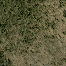 Satellite imagery of Mahon Mountain, CA