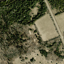 Satellite imagery of Wingle Hill, CA