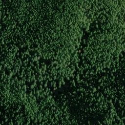 Satellite imagery of Salmon Mountain, US