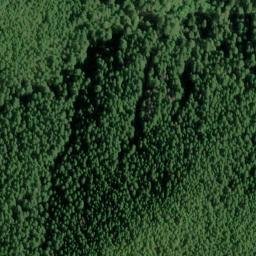 Satellite imagery of Salmon Mountain, US