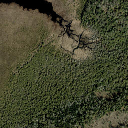 Satellite imagery of William Johns Mountain, CA
