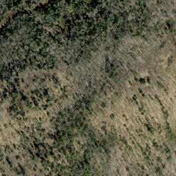 Satellite imagery of Buck Mountain, CA