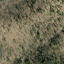Satellite imagery of Buck Mountain, CA