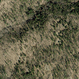 Satellite imagery of Buck Mountain, CA