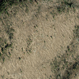 Satellite imagery of Spring Mountain, CA