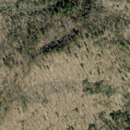 Satellite imagery of Spring Mountain, CA
