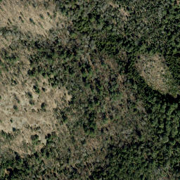 Satellite imagery of Spring Mountain, CA