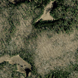 Satellite imagery of MacPherson Lake Mountain, CA