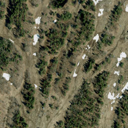Satellite imagery of Dicksons Mountain, CA