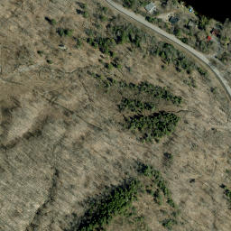 Satellite imagery of Dicksons Mountain, CA