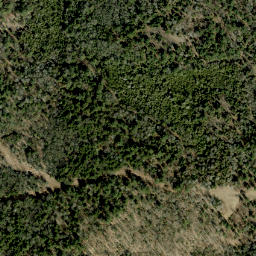 Satellite imagery of William Johns Mountain, CA