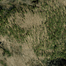 Satellite imagery of Joyces Mountain, CA