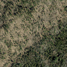 Satellite imagery of Buck Mountain, CA