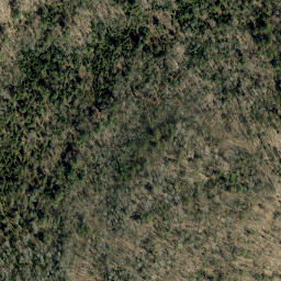 Satellite imagery of Buck Mountain, CA