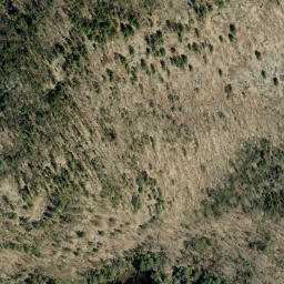 Satellite imagery of Buck Mountain, CA