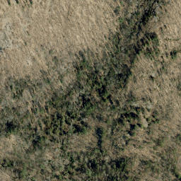 Satellite imagery of Spring Mountain, CA