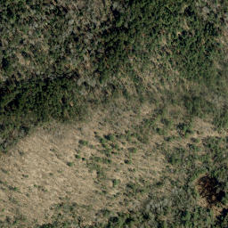 Satellite imagery of Spring Mountain, CA