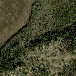 Satellite imagery of Boffins Point, CA