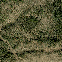 Satellite imagery of William Johns Mountain, CA