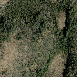 Satellite imagery of Buck Mountain, CA