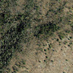 Satellite imagery of Buck Mountain, CA