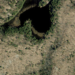 Satellite imagery of Buck Mountain, CA