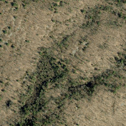Satellite imagery of Spring Mountain, CA
