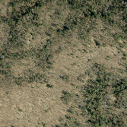 Satellite imagery of Spring Mountain, CA