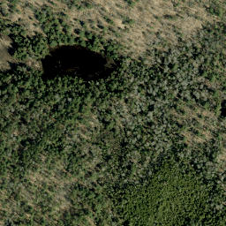 Satellite imagery of MacPherson Lake Mountain, CA