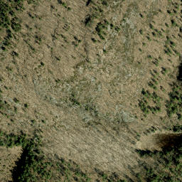 Satellite imagery of Dicksons Mountain, CA