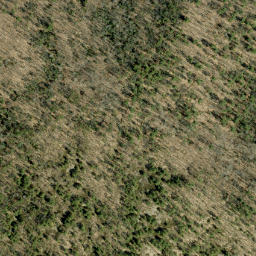 Satellite imagery of Jamiesons Mountain, CA