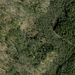 Satellite imagery of Jamiesons Mountain, CA