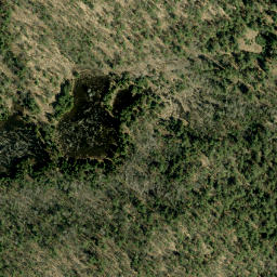 Satellite imagery of Bluff Mountain, CA