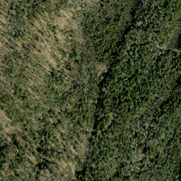 Satellite imagery of Jamiesons Mountain, CA