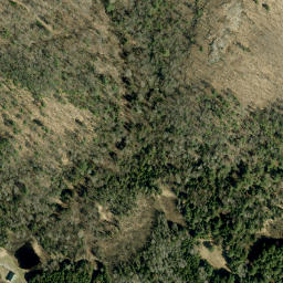 Satellite imagery of Godin Mountain, CA