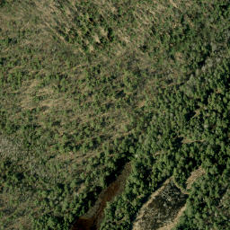 Satellite imagery of Bluff Mountain, CA
