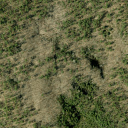 Satellite imagery of Dillons Mountain, CA