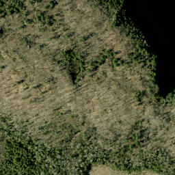 Satellite imagery of Tatty Hill, CA