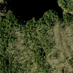 Satellite imagery of Dillons Mountain, CA