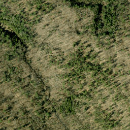 Satellite imagery of Dillons Mountain, CA