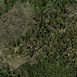 Satellite imagery of Hardwood Mountain, CA