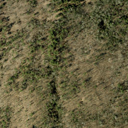 Satellite imagery of Pine Ridge, CA