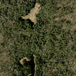 Satellite imagery of Pine Ridge, CA