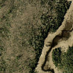 Satellite imagery of Pine Ridge, CA