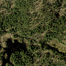 Satellite imagery of Limestone Rock, CA
